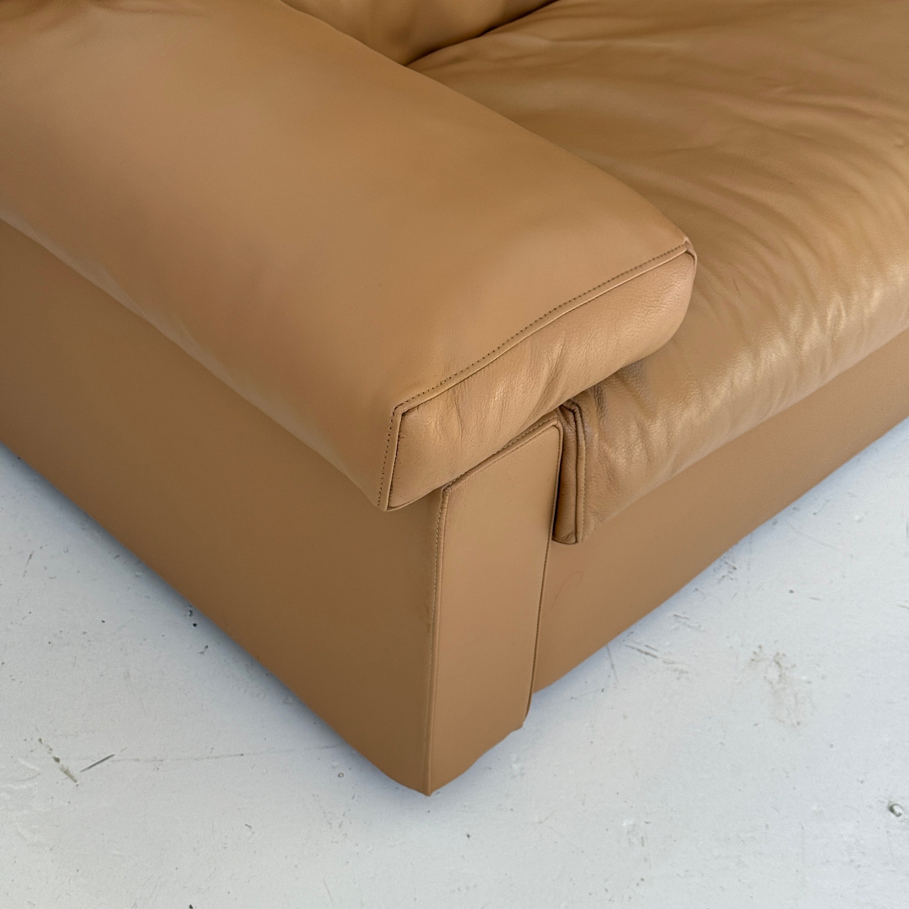 Leather Erasmo Sofa by Afra and Tobia Scarpa for B&B Italia