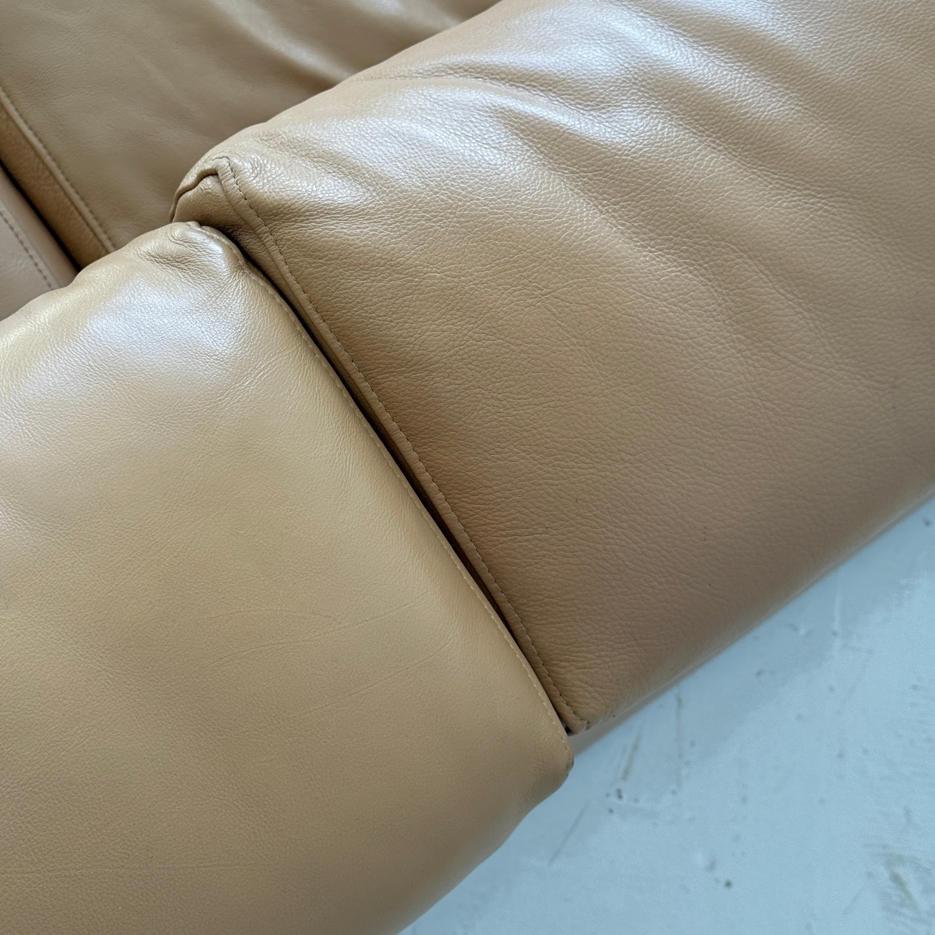 Leather Erasmo Sofa by Afra and Tobia Scarpa for B&B Italia