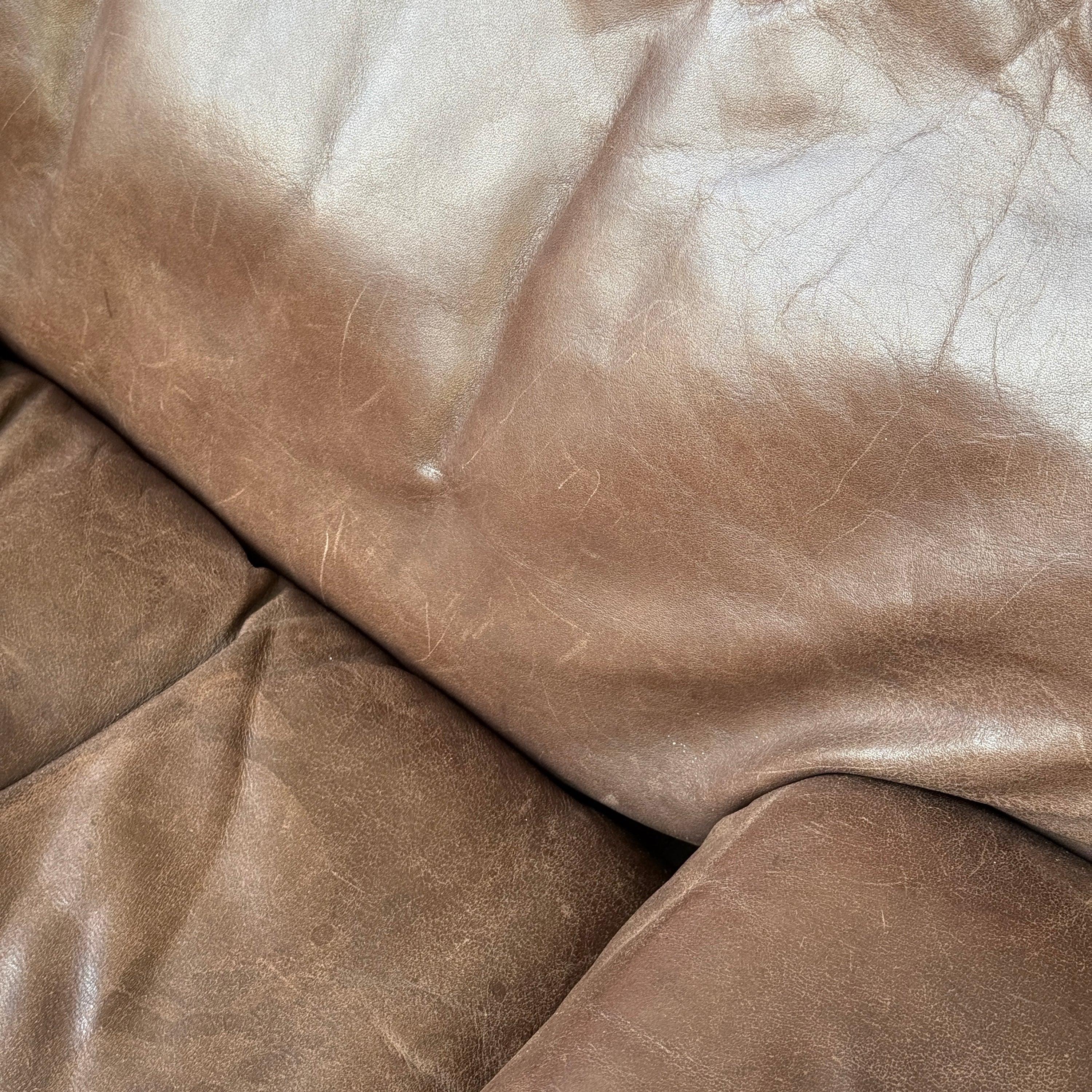 DS-66 Leather Lounge Chairs by De Sede