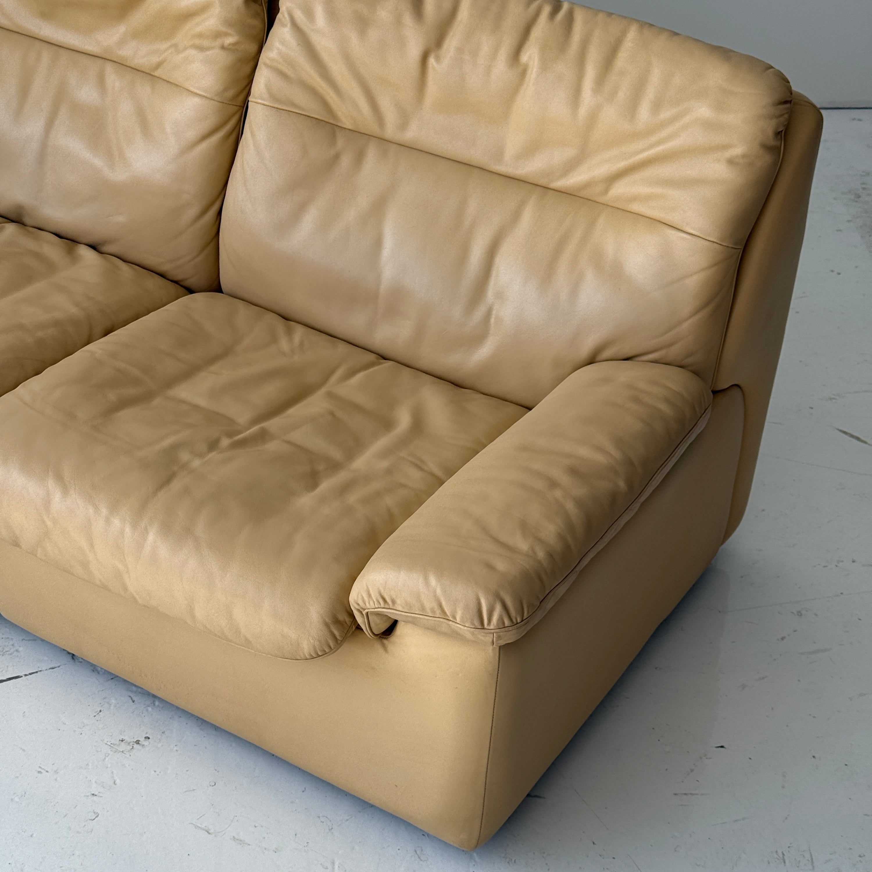 DS-66 Leather Sofa by De Sede
