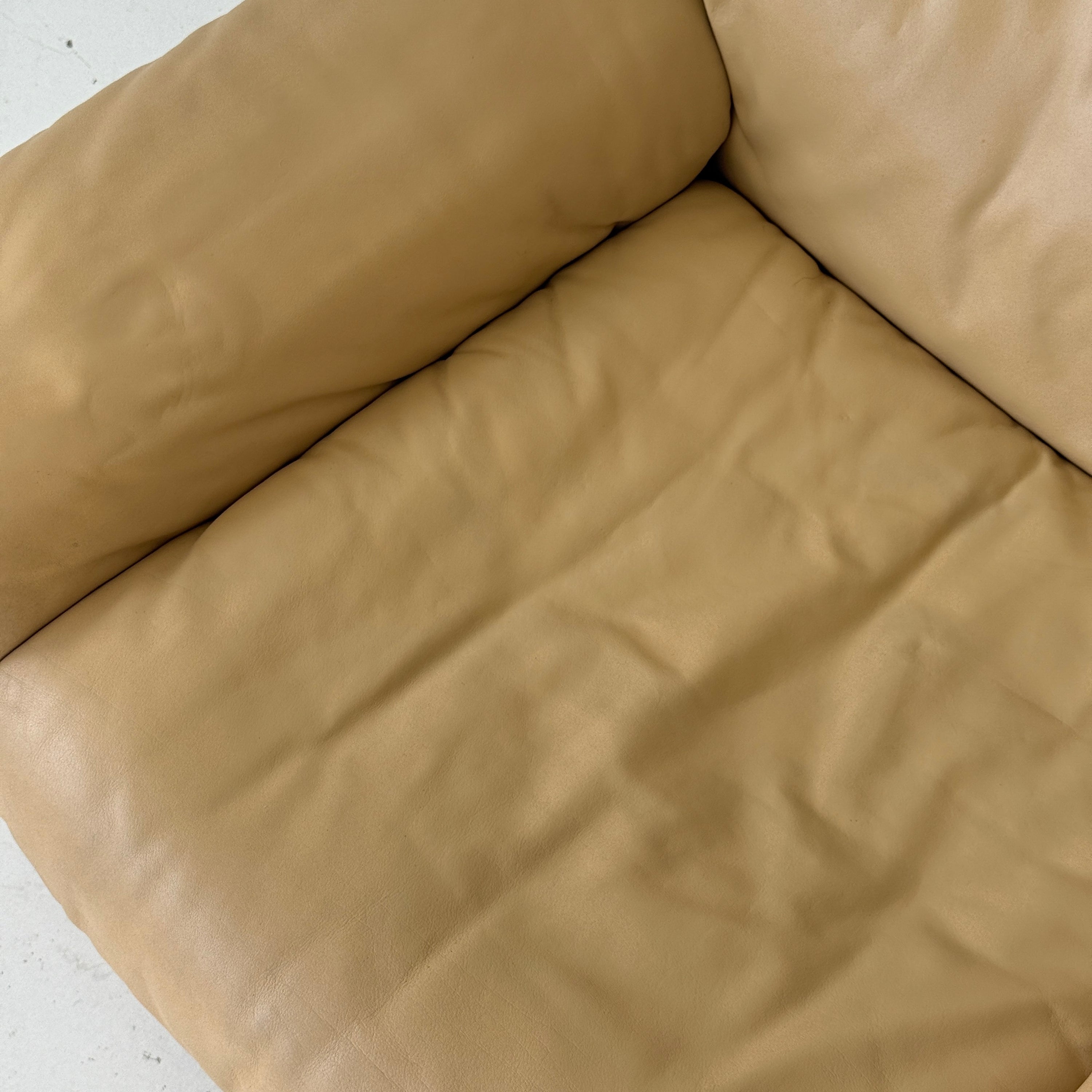 DS-66 Leather Lounge Chair by De Sede