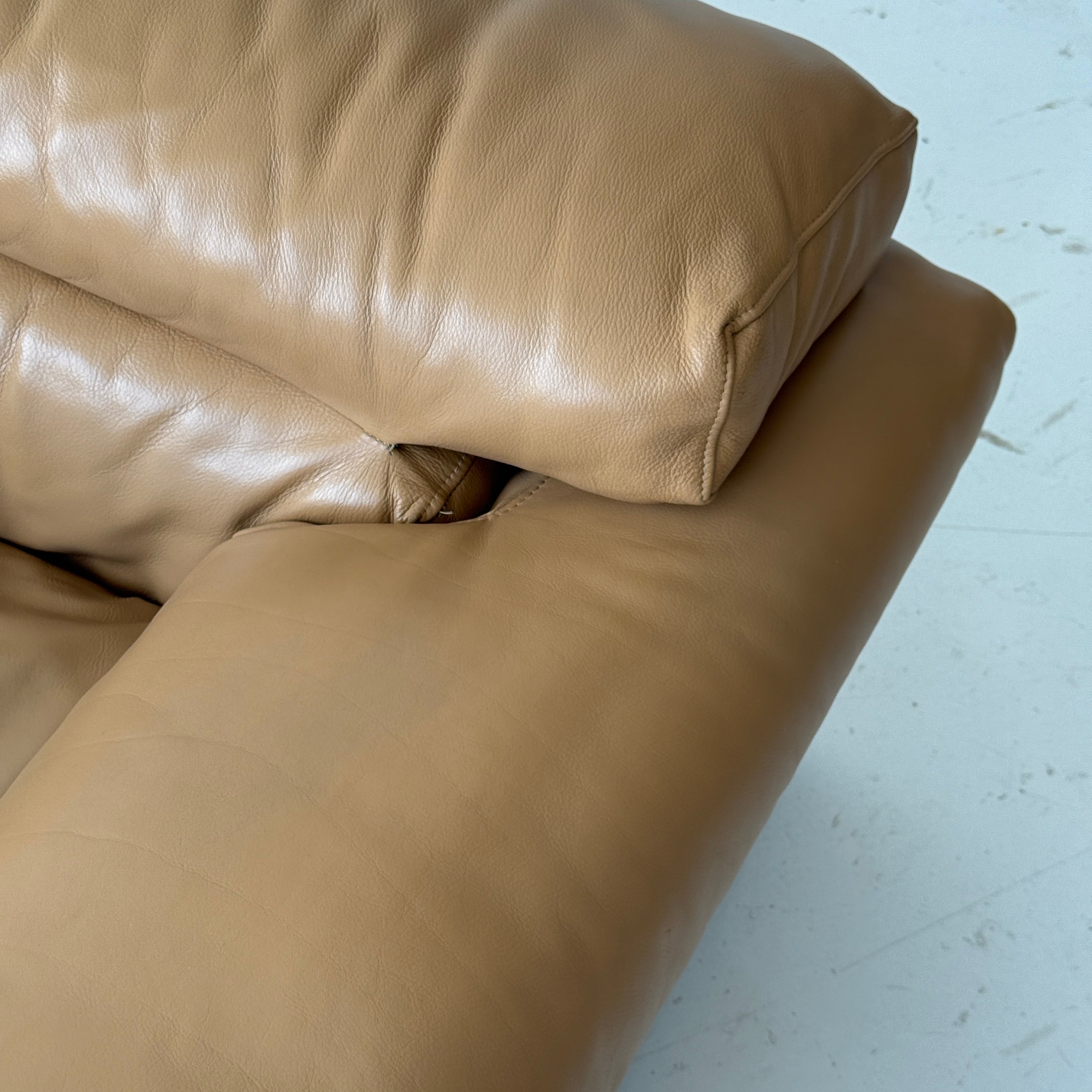 Leather Erasmo Sofa by Afra and Tobia Scarpa for B&B Italia