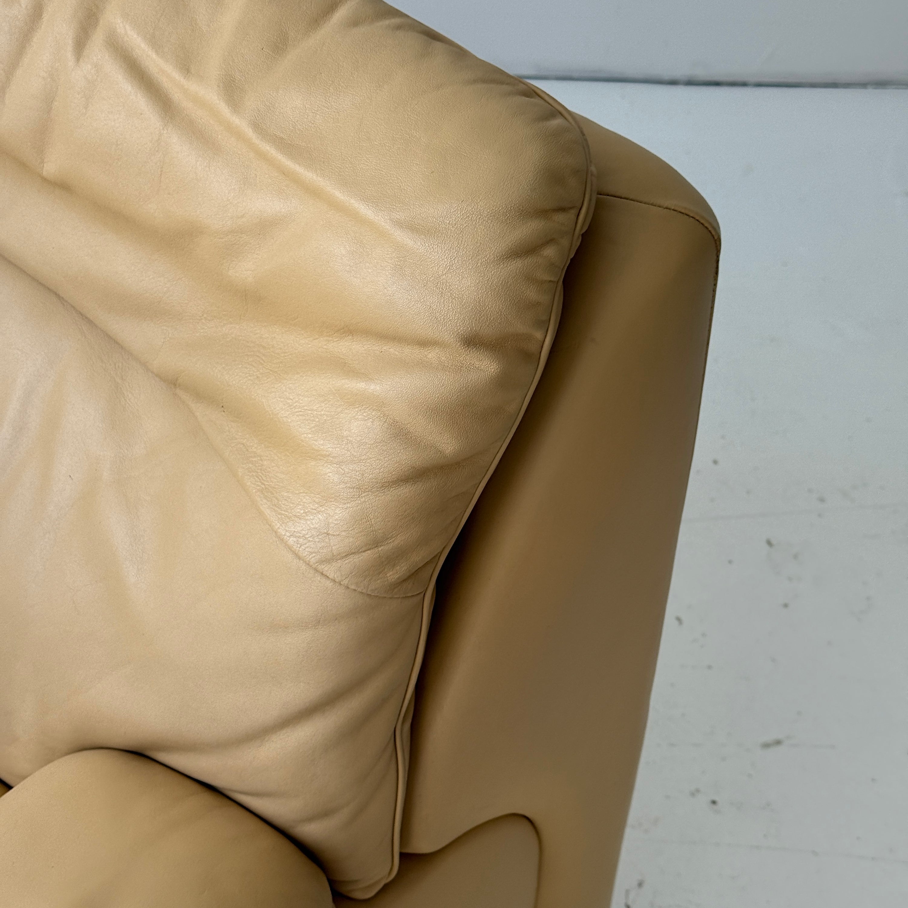 DS-66 Leather Lounge Chair by De Sede