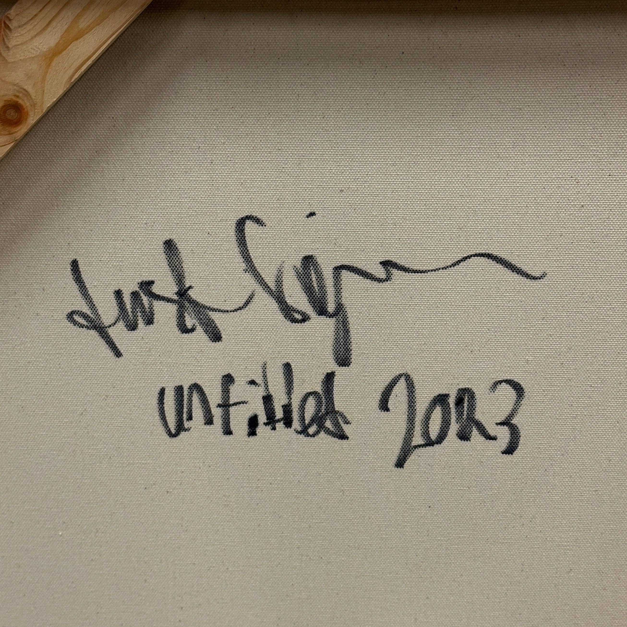 Acrylic Painting by Justin Singerman