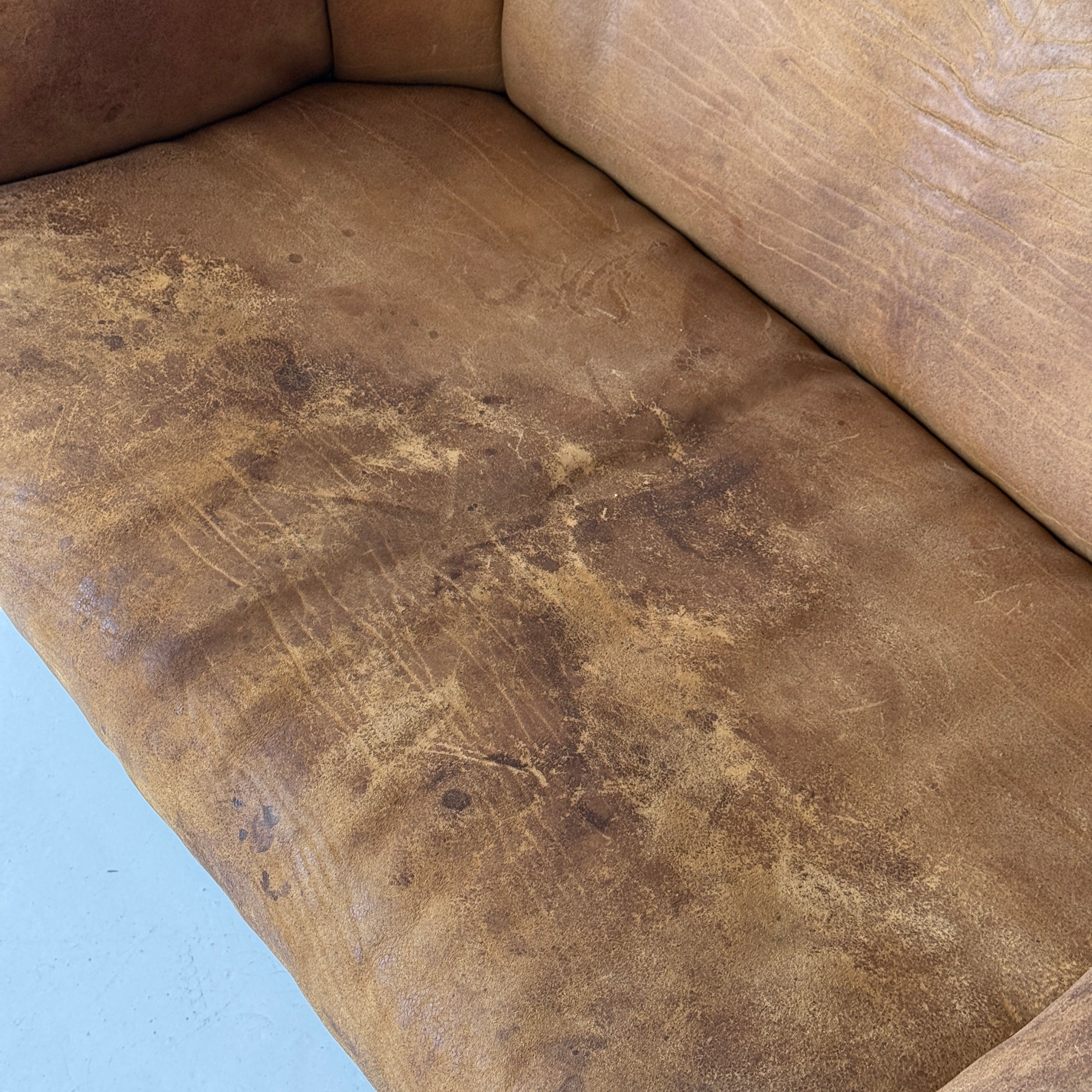 DS-95 Buffalo Leather Sofa by De Sede