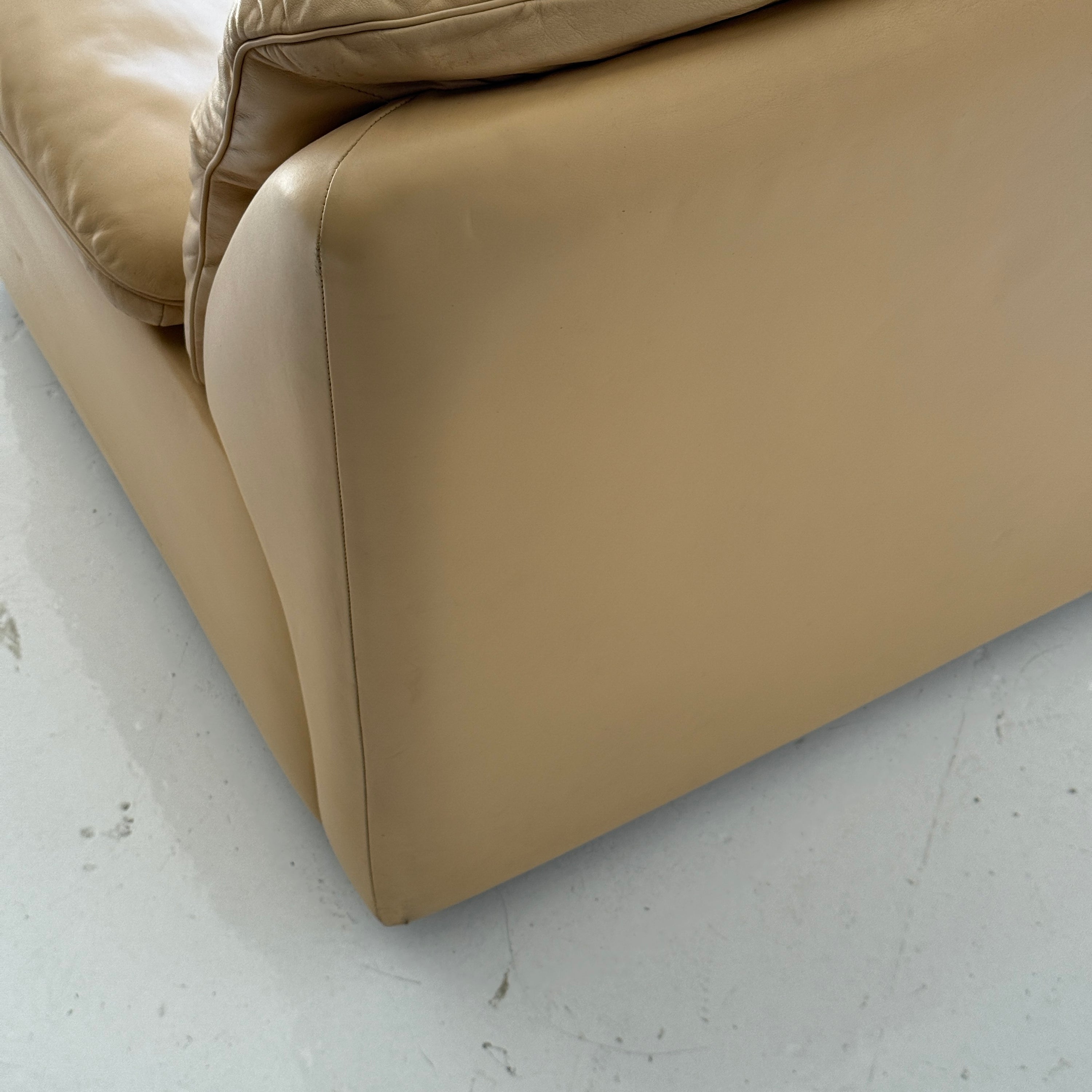 DS-66 Leather Lounge Chair by De Sede