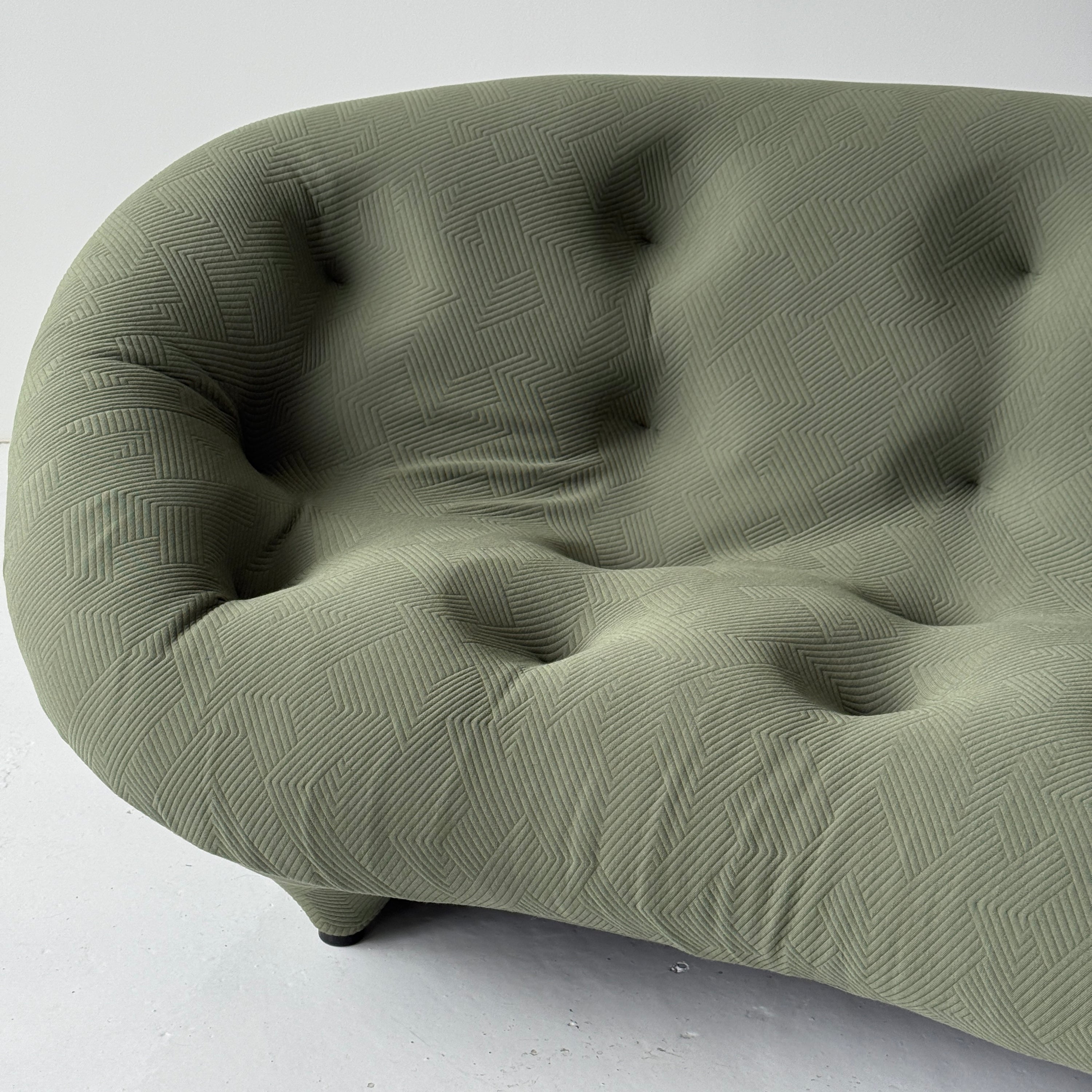 Ploum Sofa by Ronan + Erwan Bouroullec for Ligne Roset