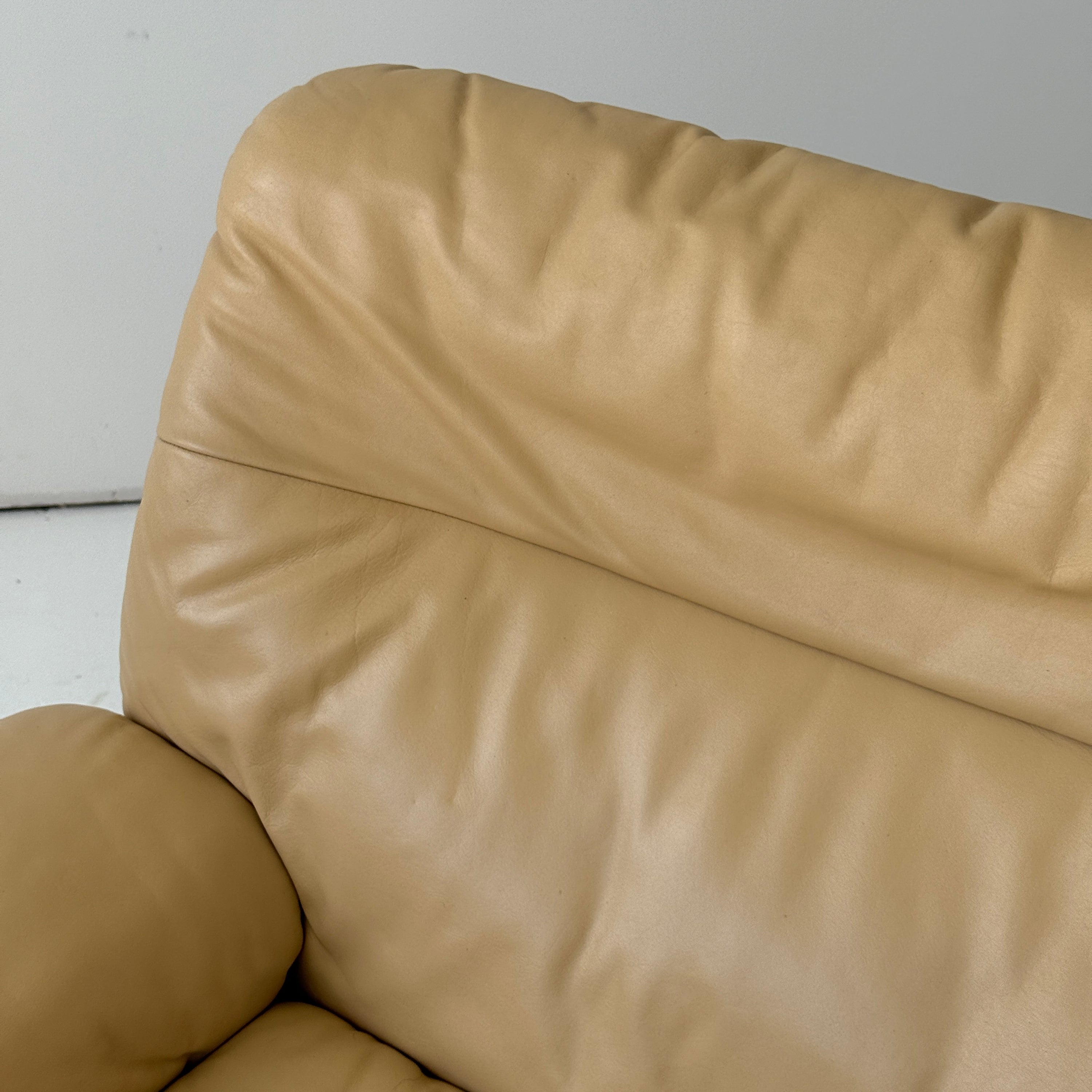 DS-66 Leather Lounge Chair by De Sede