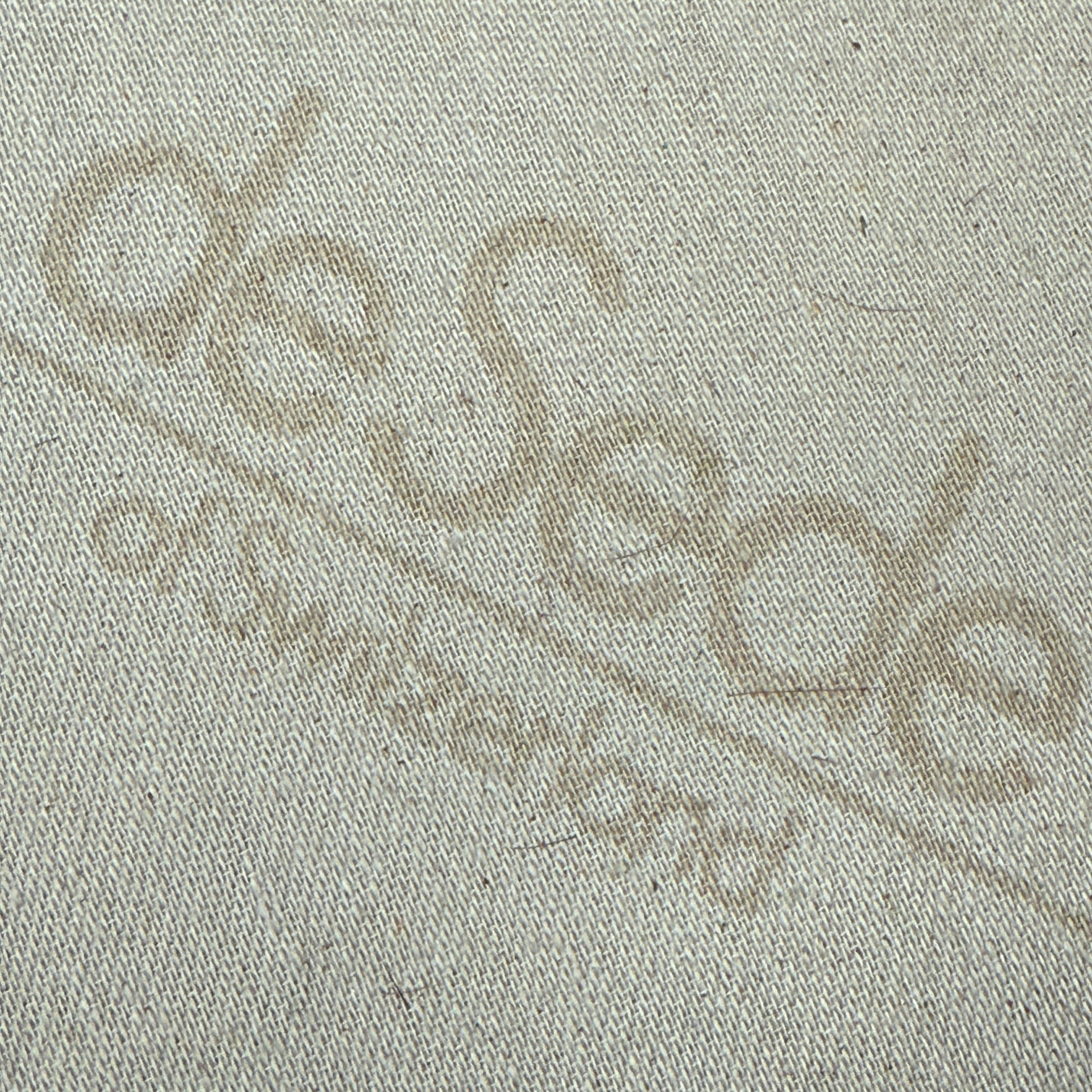 DS-66 Leather Sofa by De Sede