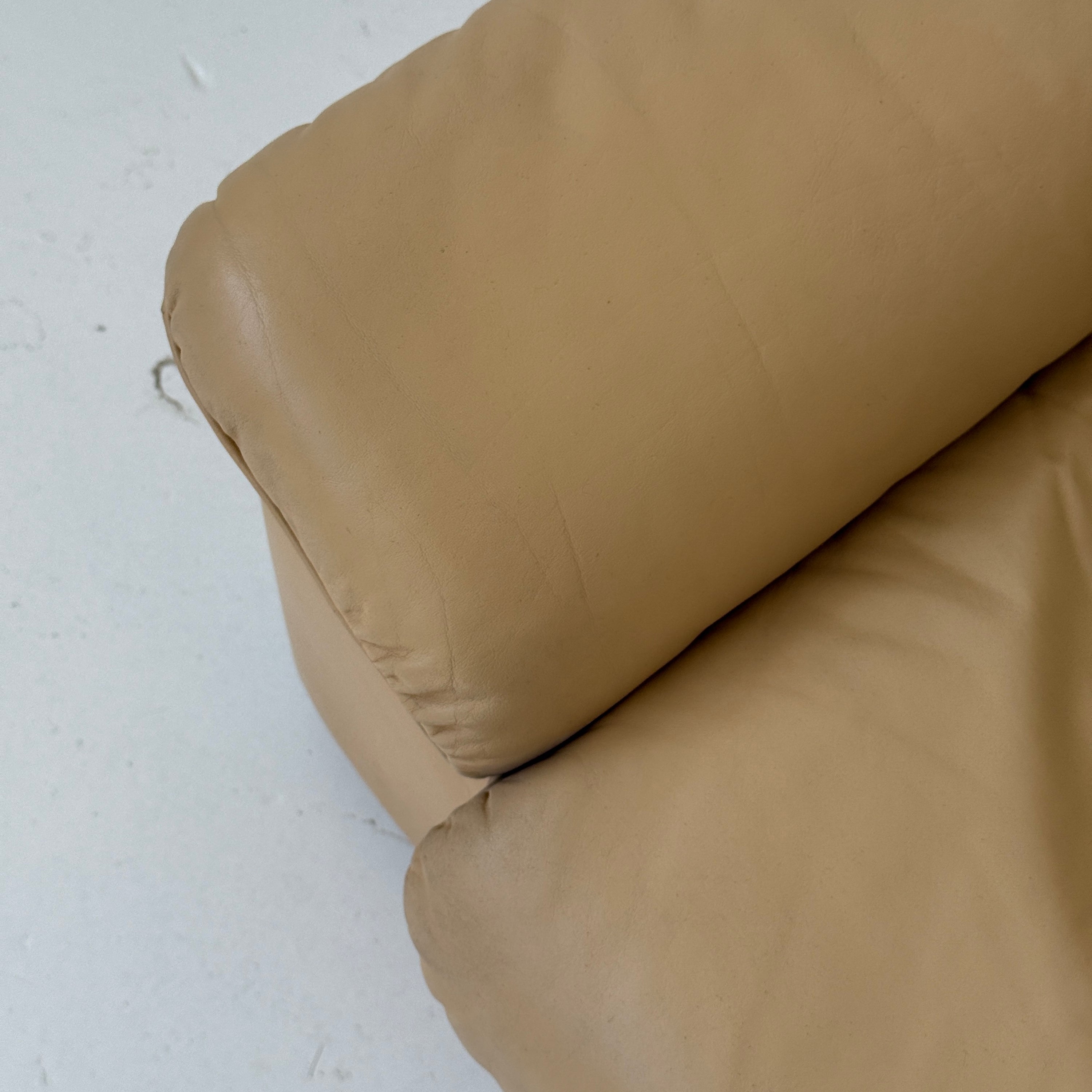 DS-66 Leather Sofa by De Sede
