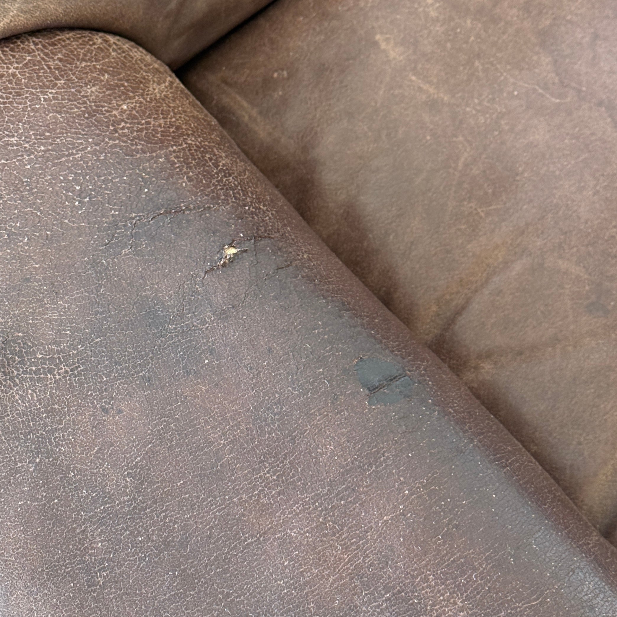 DS-66 Leather Lounge Chairs by De Sede