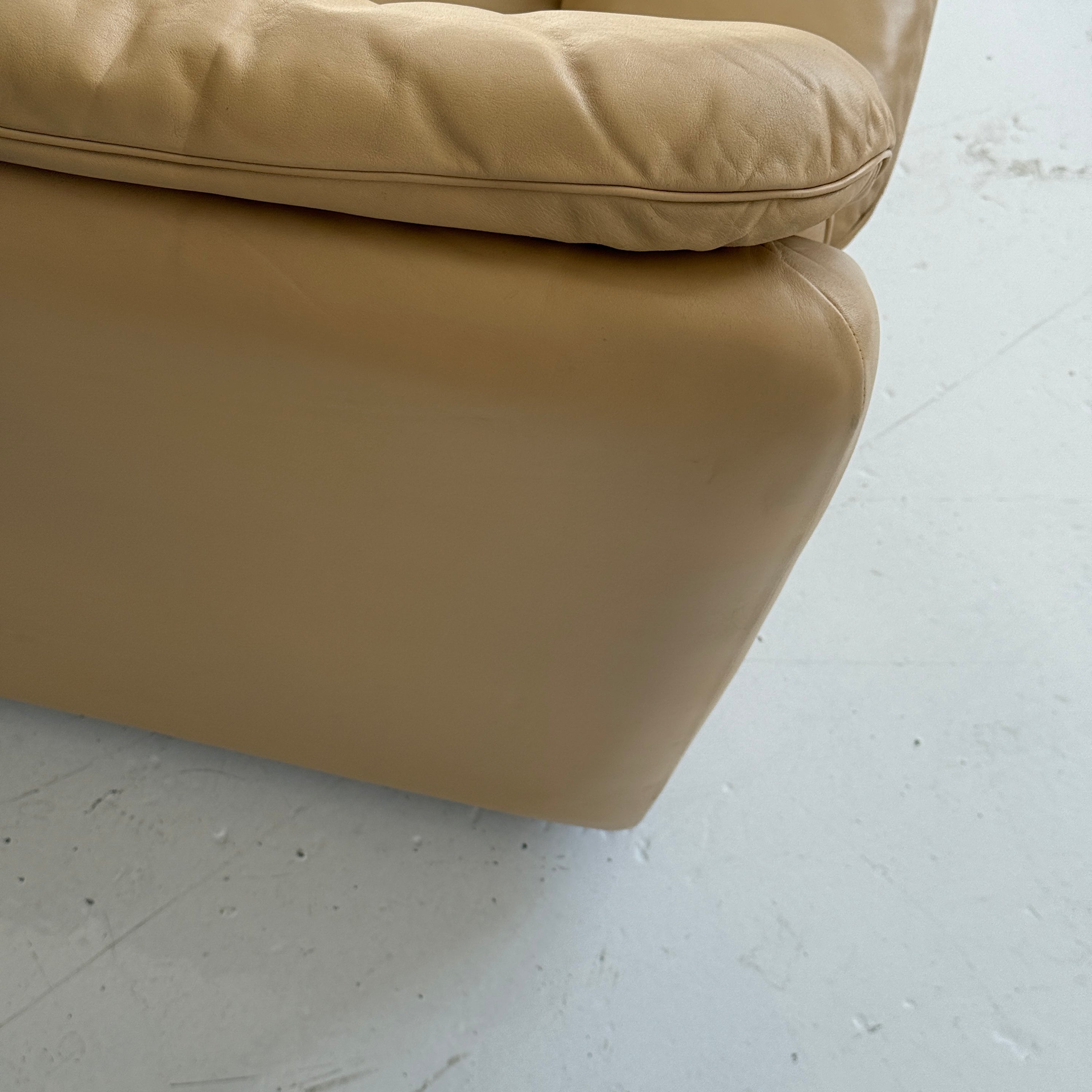 DS-66 Leather Lounge Chair by De Sede