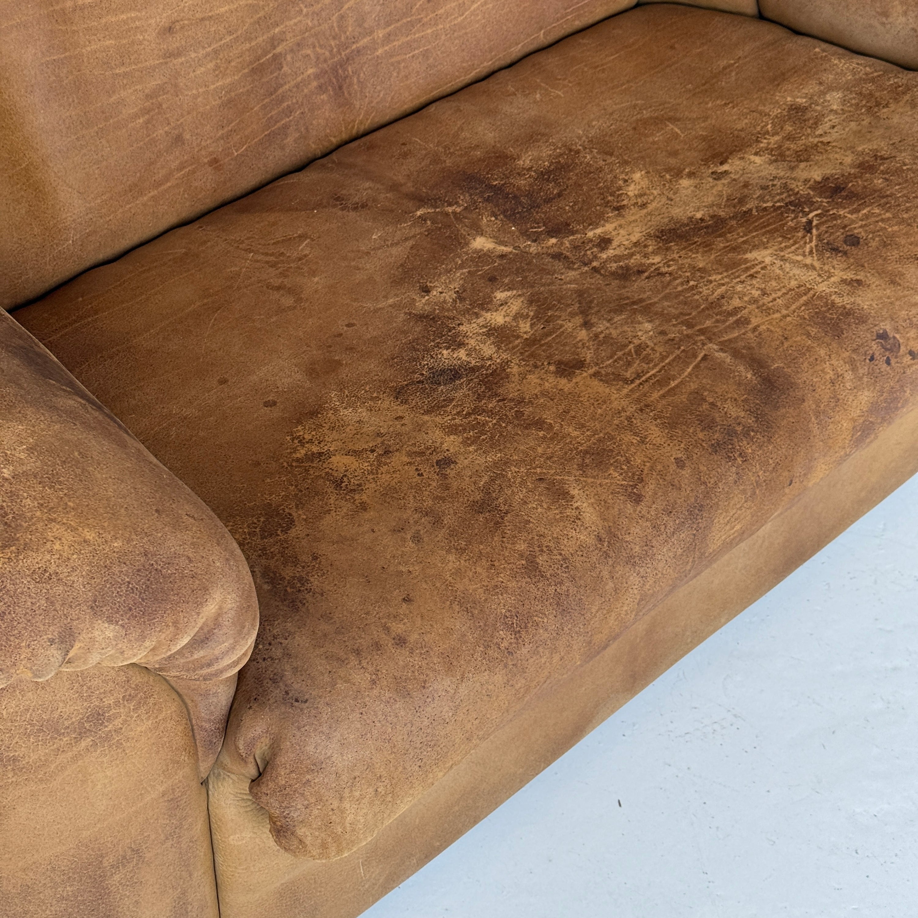 DS-95 Buffalo Leather Sofa by De Sede