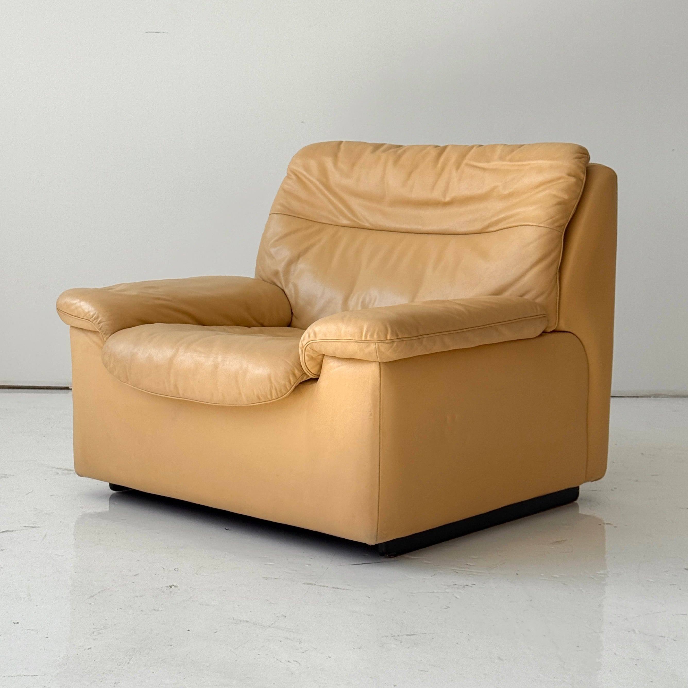 DS-66 Leather Lounge Chair by De Sede