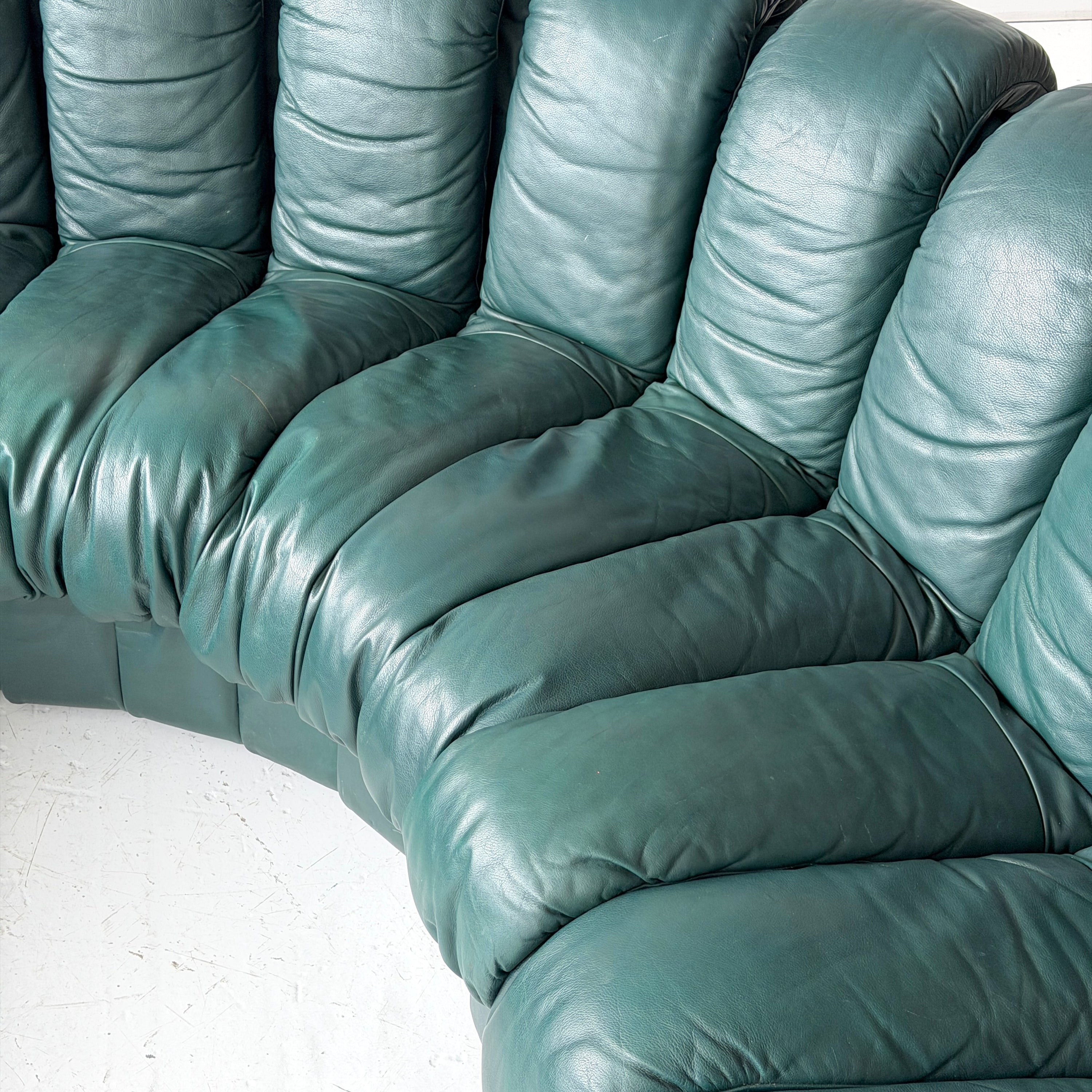 DS-900 Nonstop Snake Sofa by De Sede