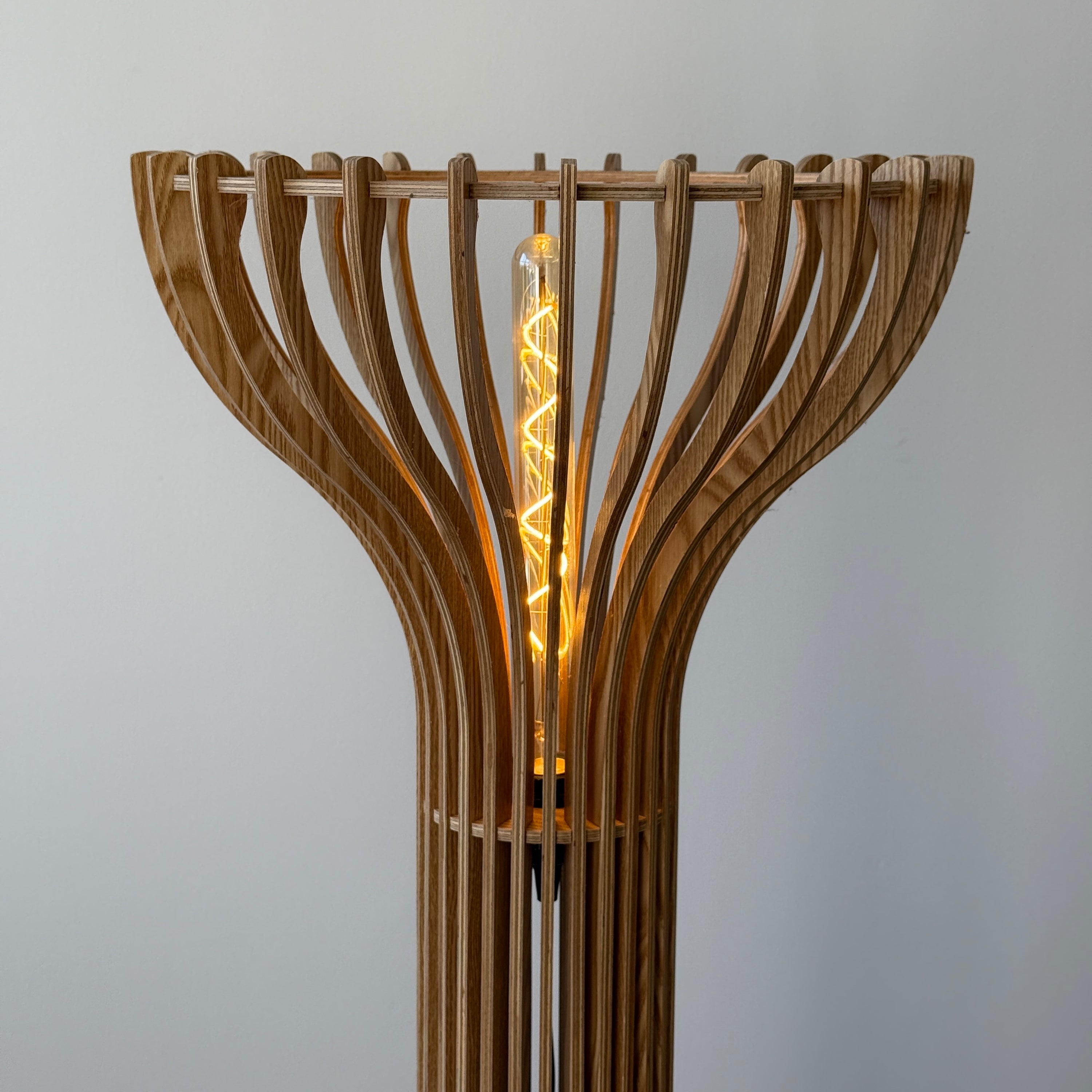 Biomorphic Wooden Floor Lamp