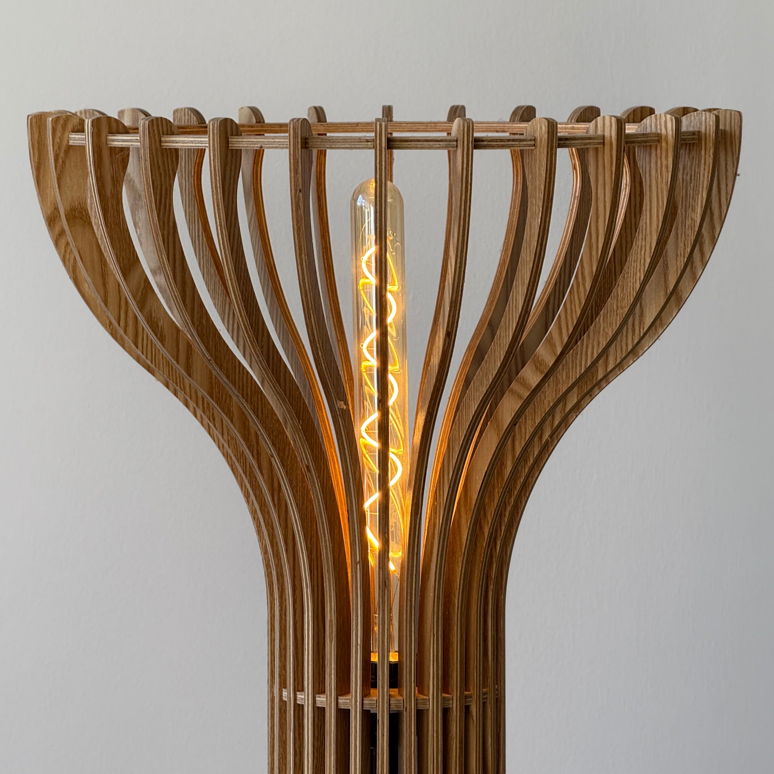 Biomorphic Wooden Floor Lamp