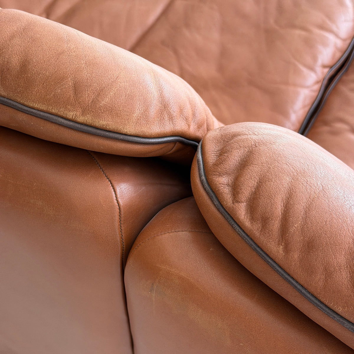 DS-66 Leather Sofa by De Sede