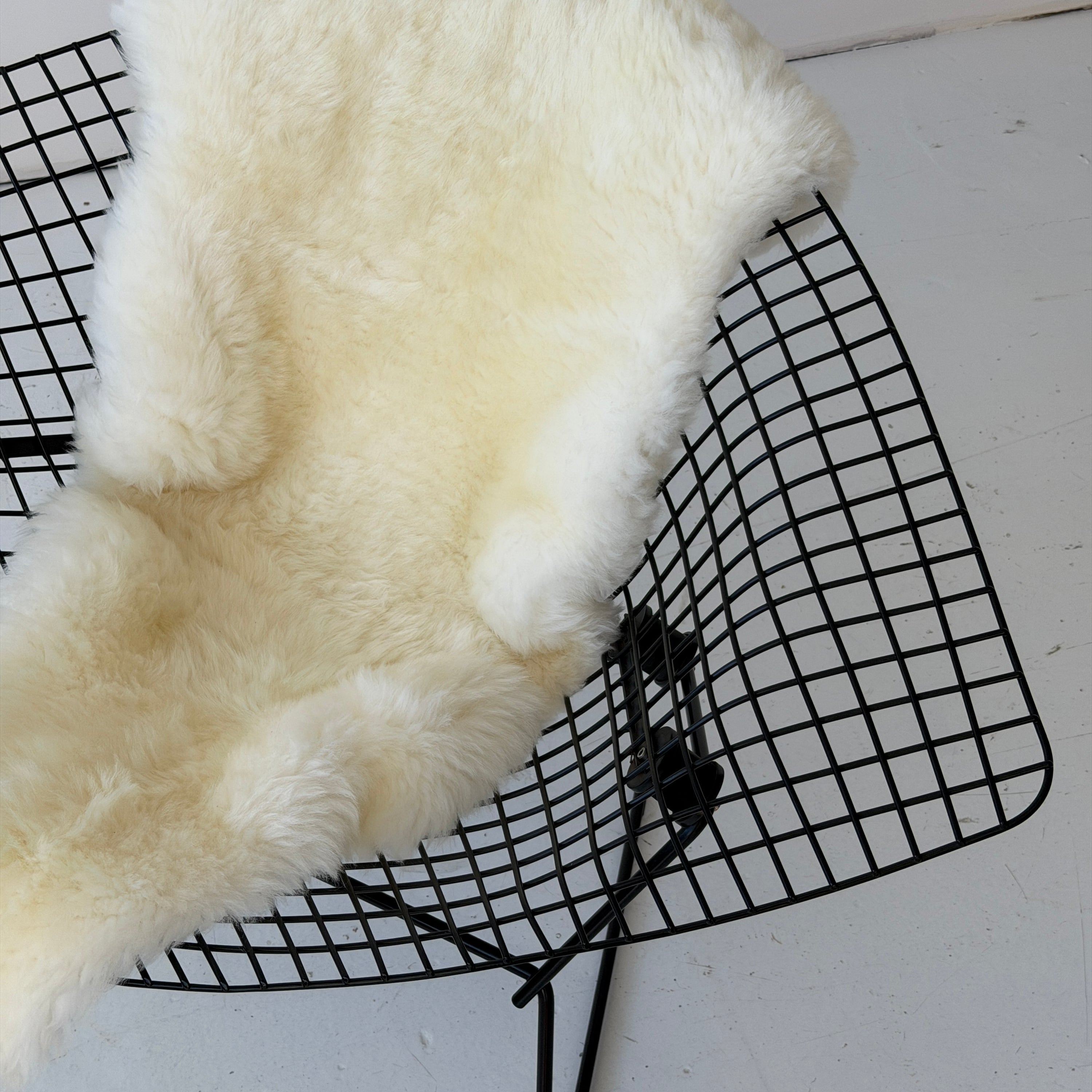 Diamond Chair w/ Sheep Pelt by Harry Bertoia for Knoll