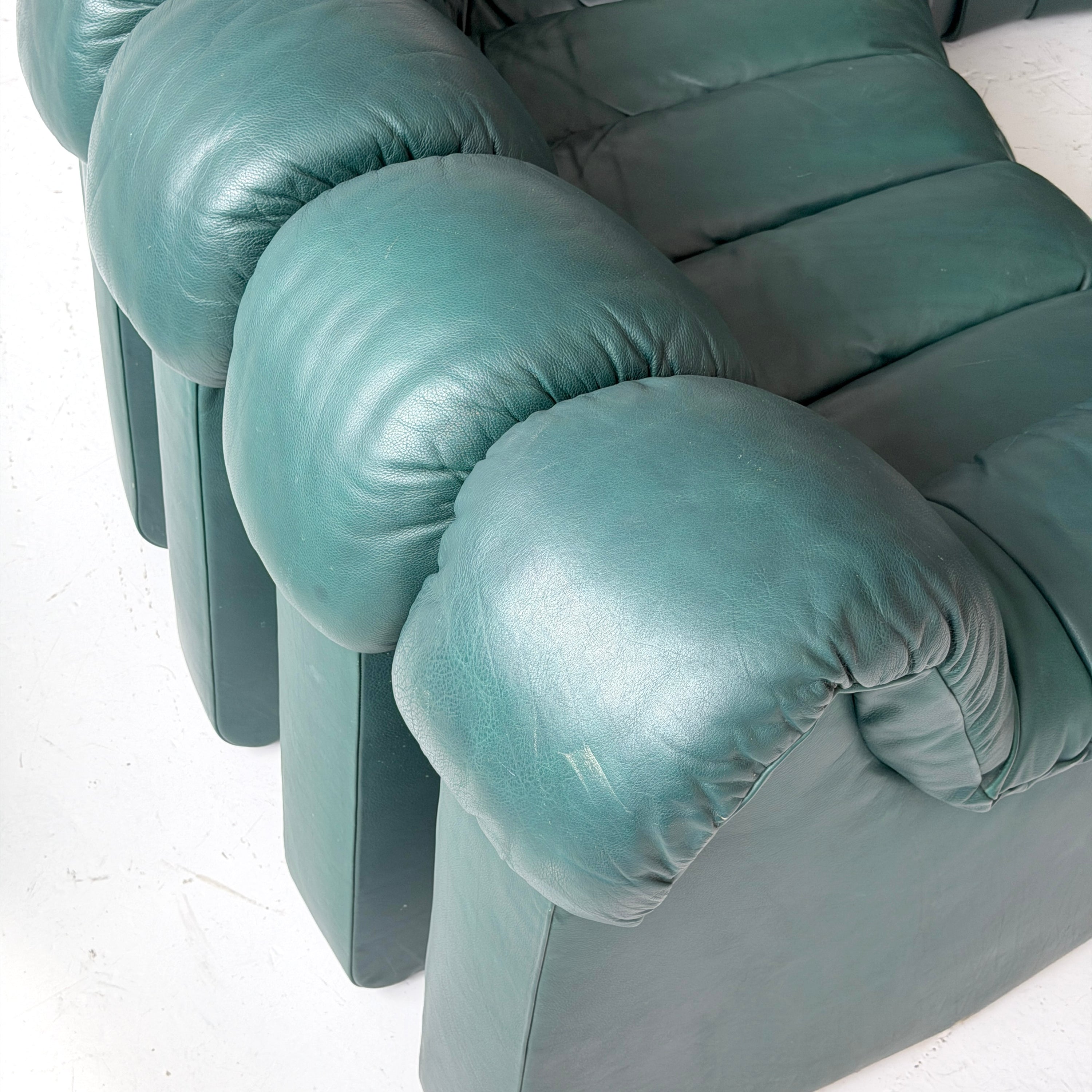 DS-900 Nonstop Snake Sofa by De Sede