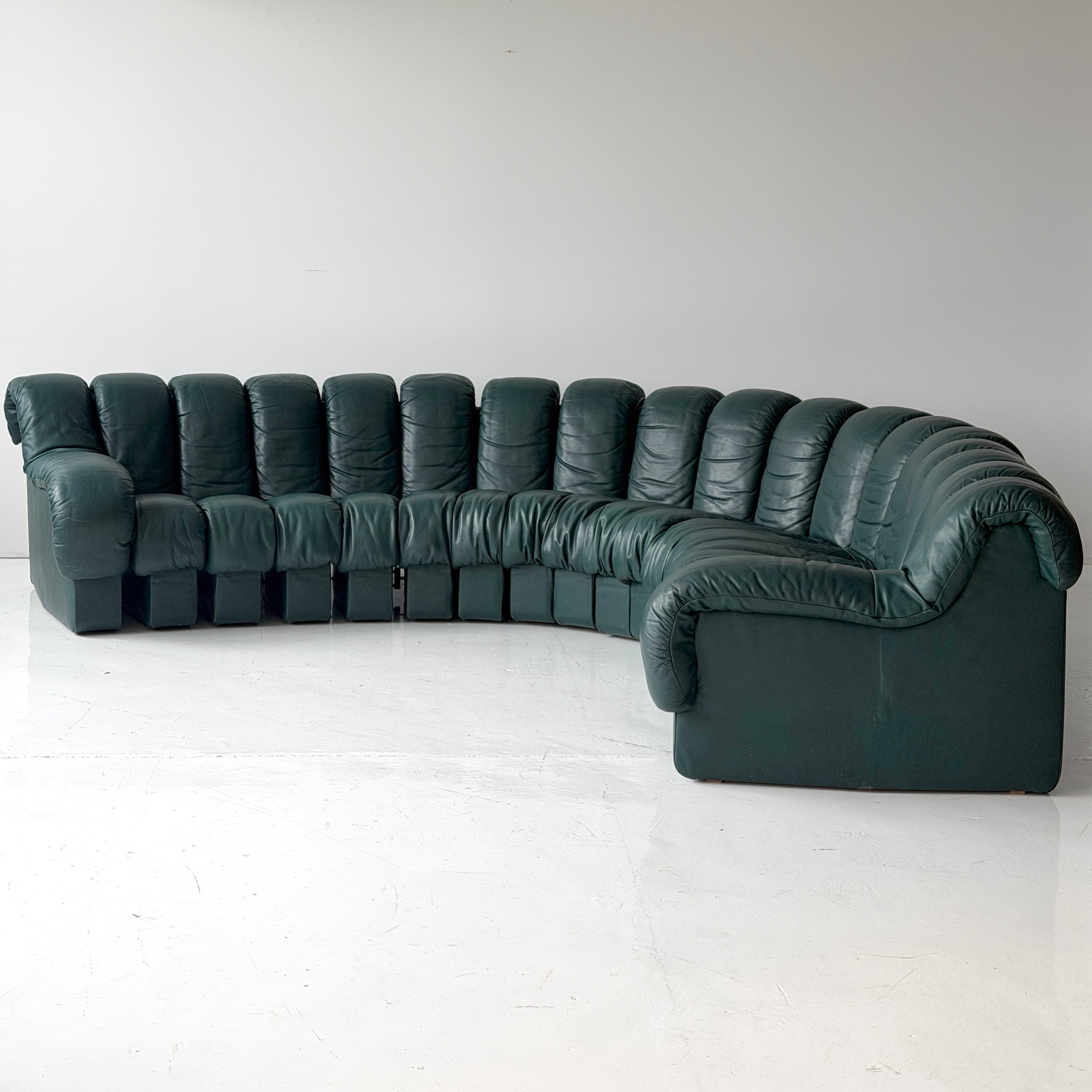 DS-900 Nonstop Snake Sofa by De Sede