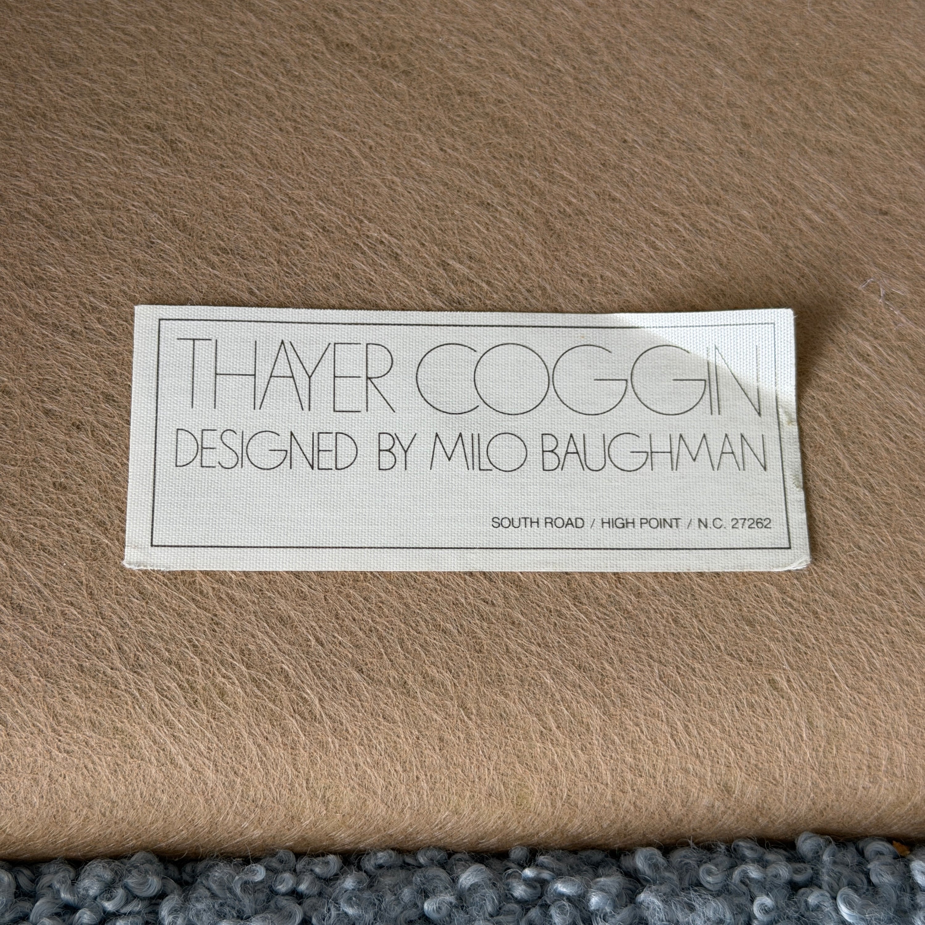Floating Lounge Chairs by Milo Baughman for Thayer Coggin