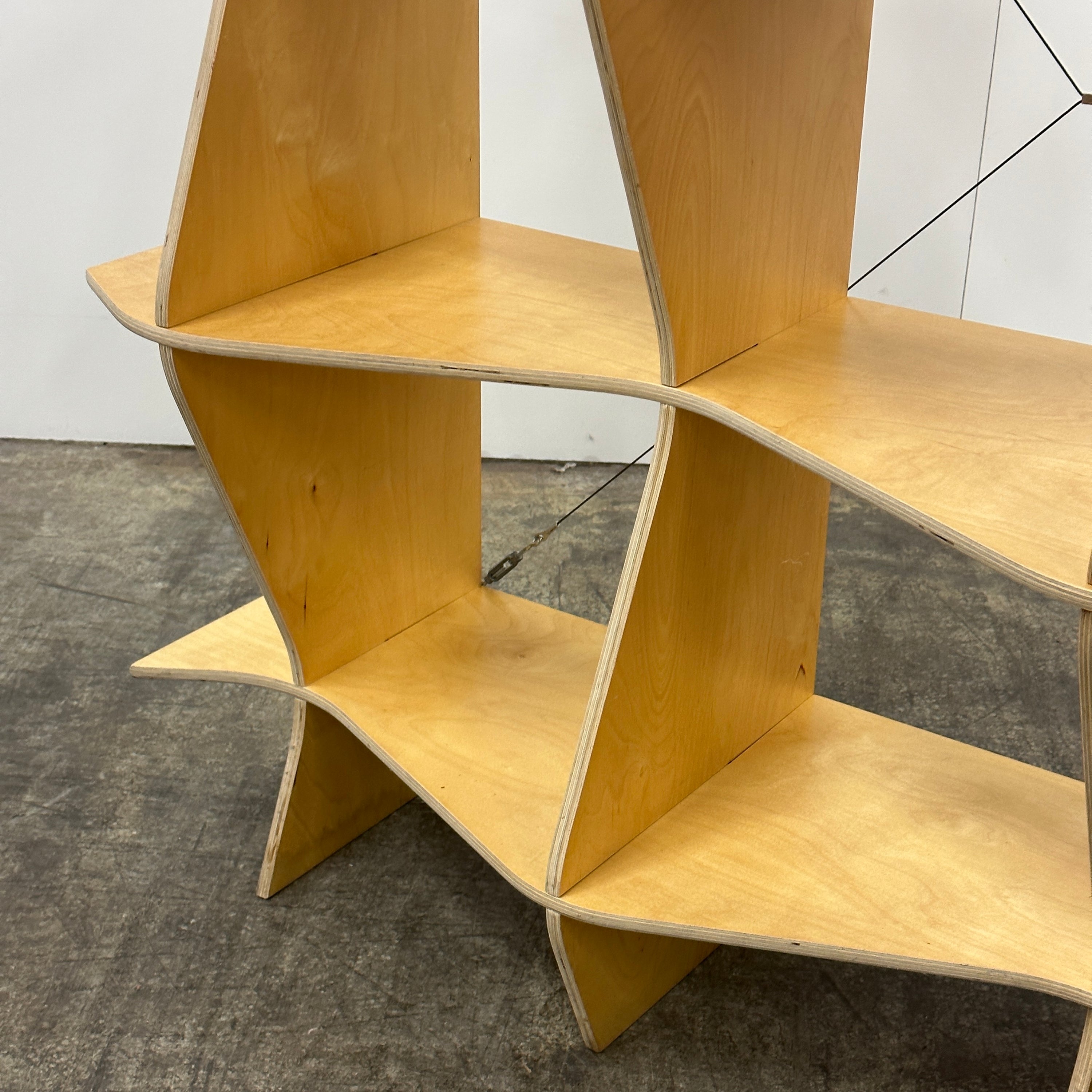 Plywood Biomorphic Shelving