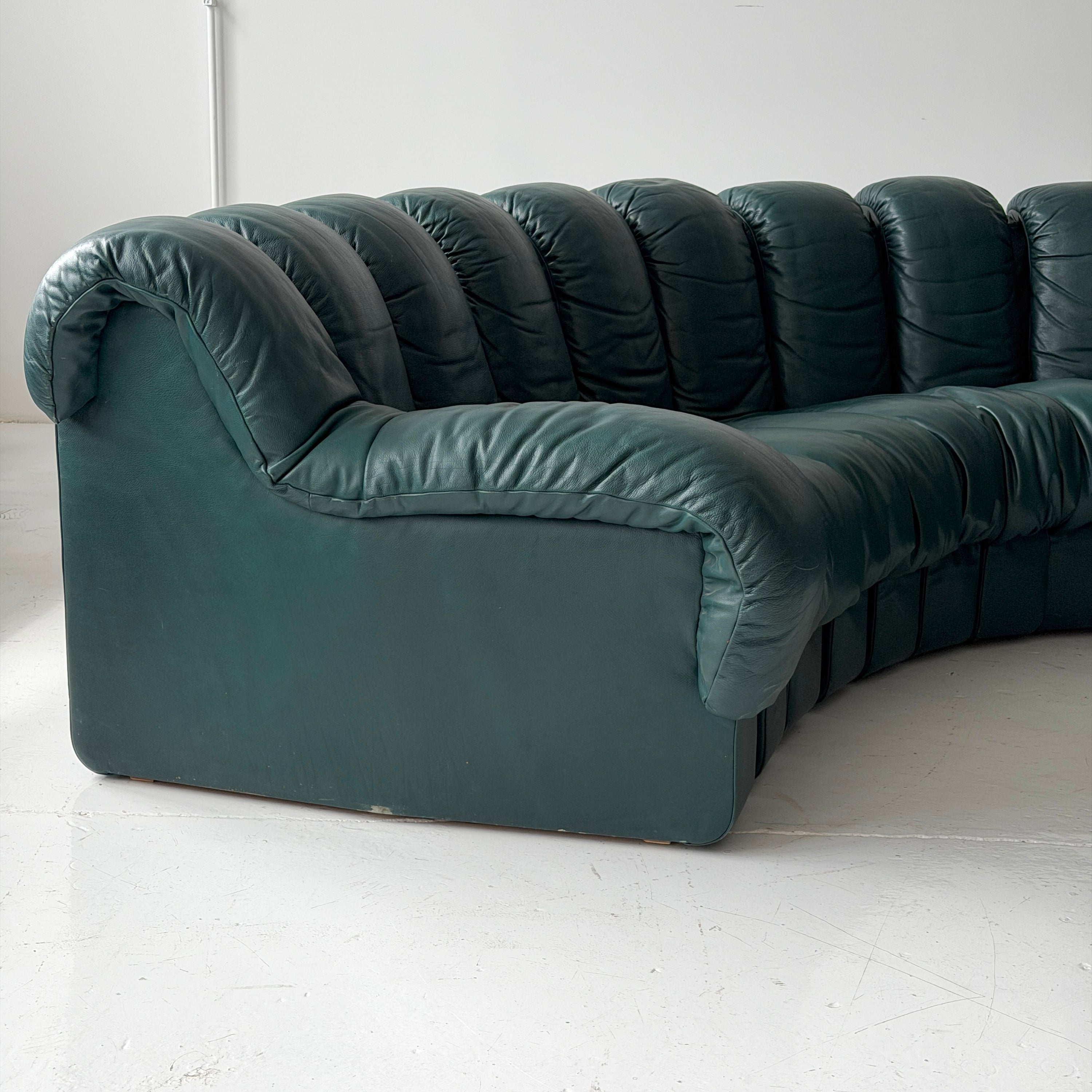 DS-900 Nonstop Snake Sofa by De Sede