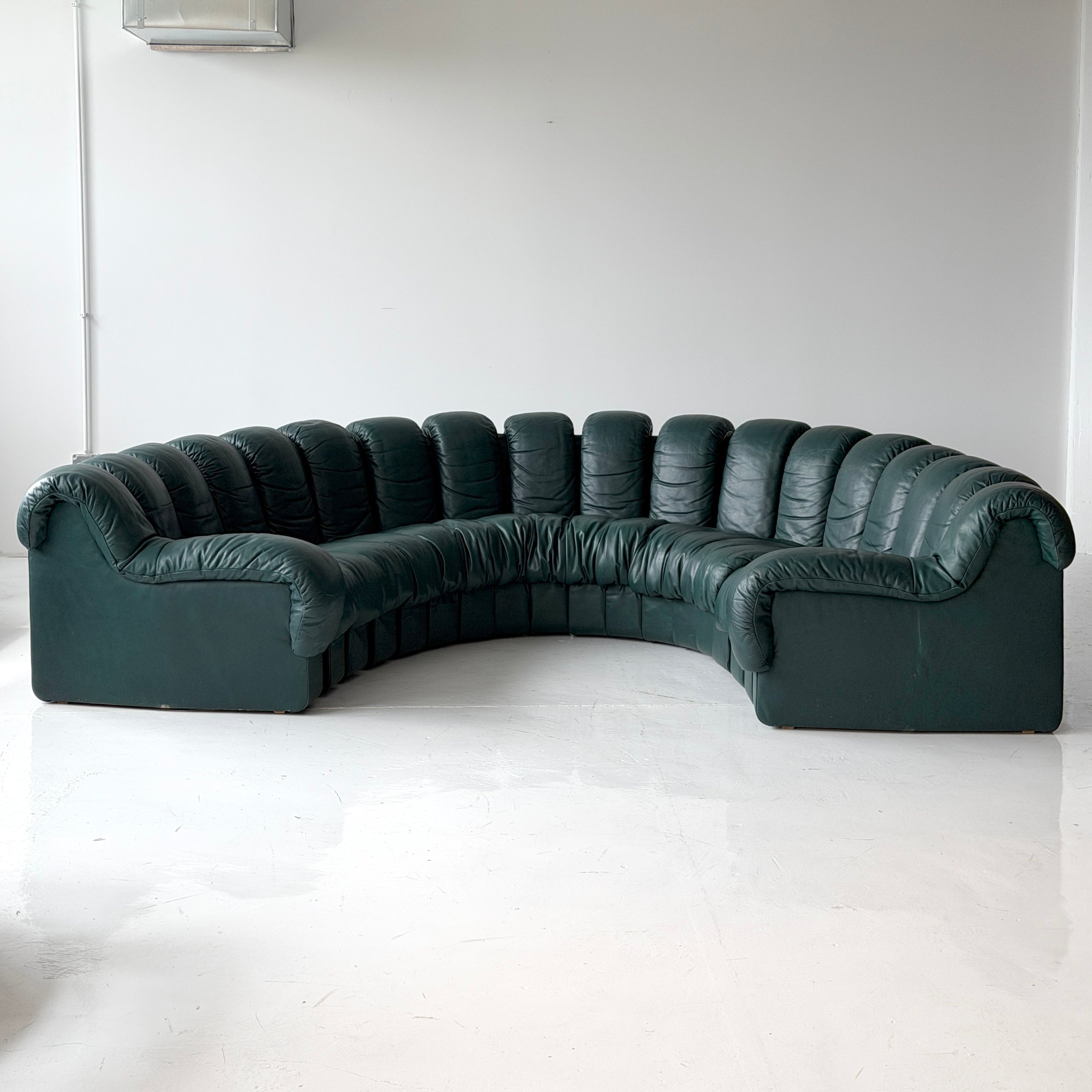 DS-900 Nonstop Snake Sofa by De Sede