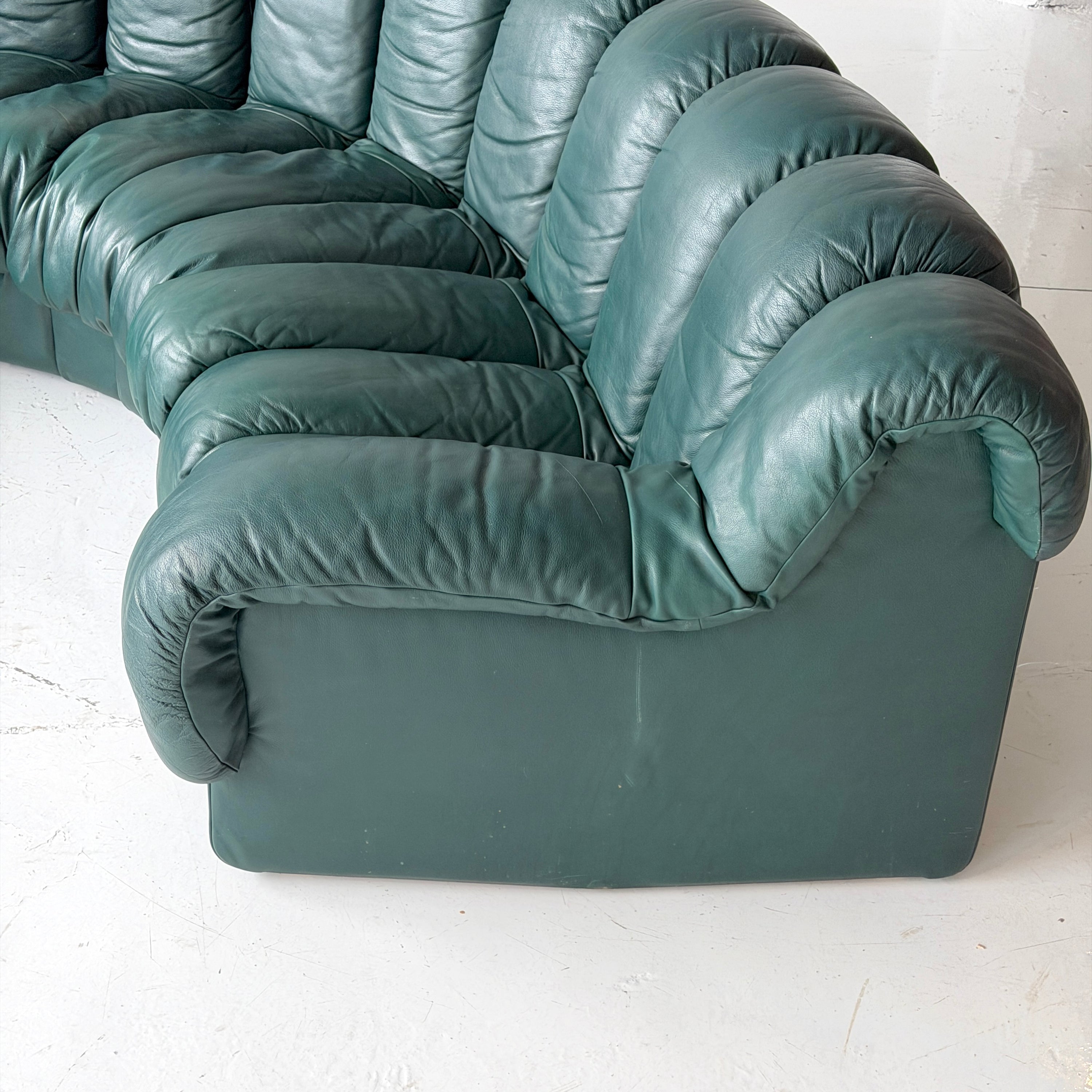 DS-900 Nonstop Snake Sofa by De Sede