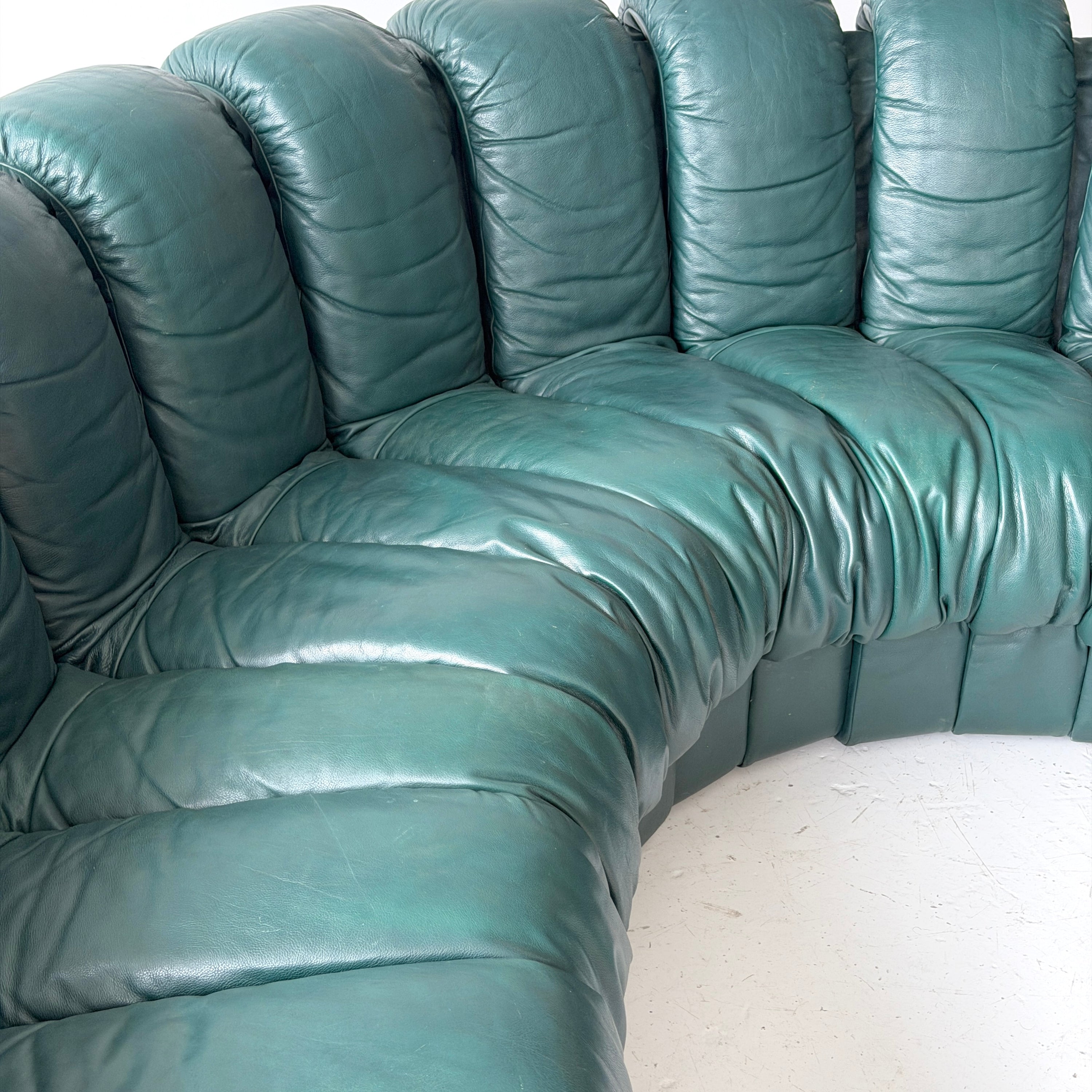 DS-900 Nonstop Snake Sofa by De Sede