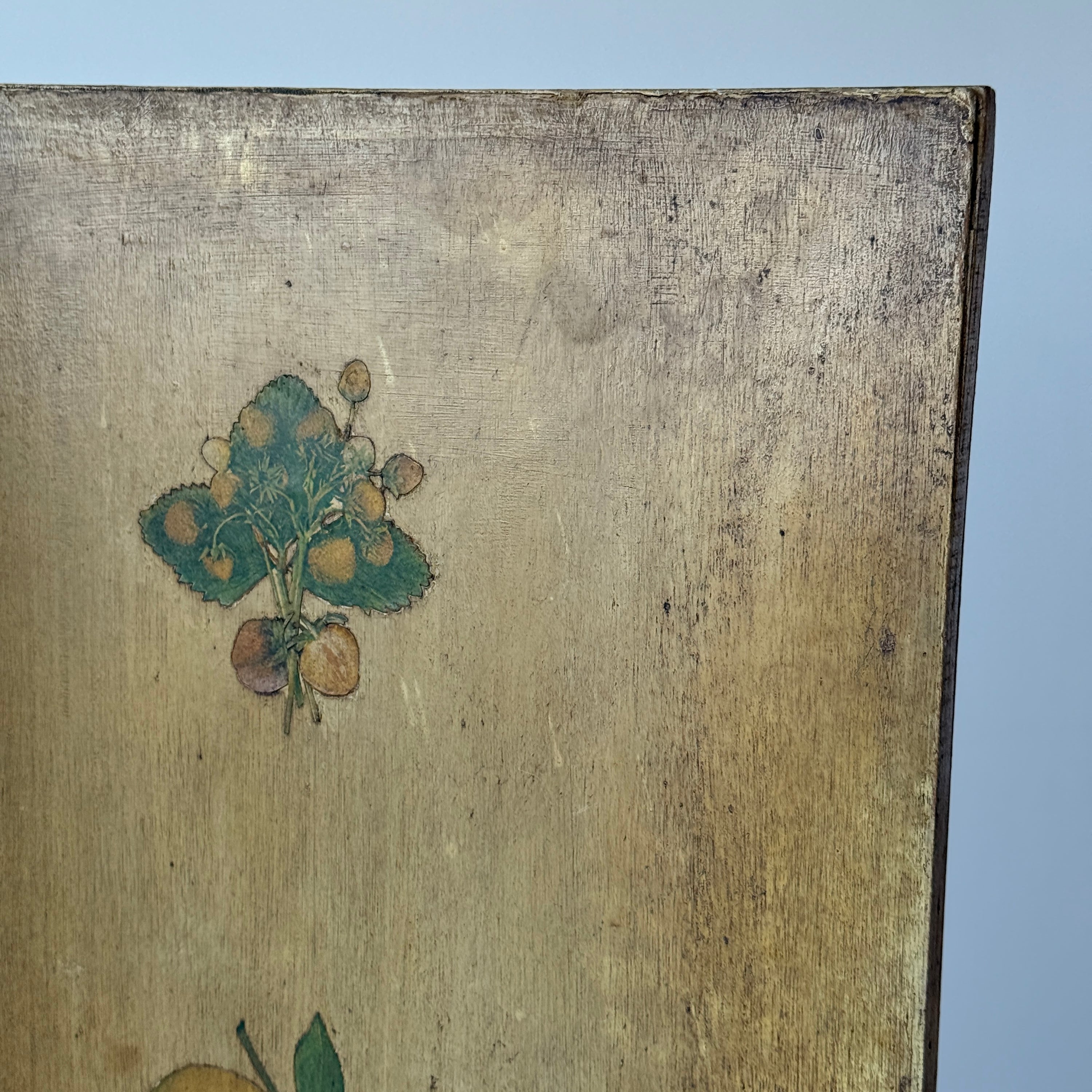 Primitive Folk Art Folding Screen